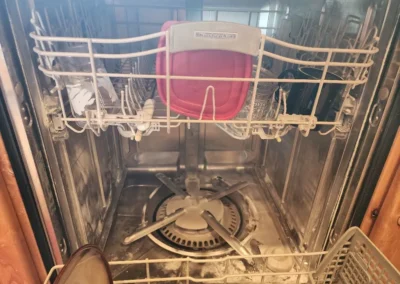 Dishwasher before